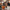 collections/HalloweenTable.jpg
