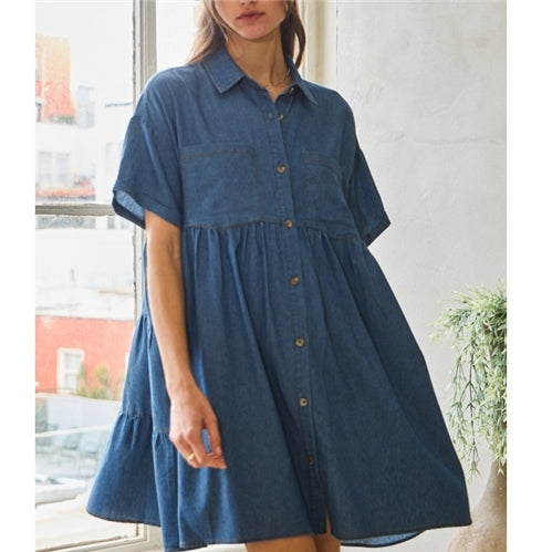 Curvy Denim Dress