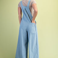 Pintuck Overall