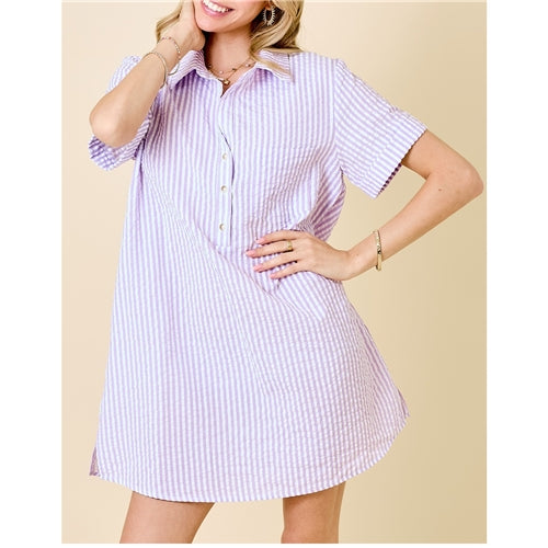 The Daeme Stripe Dress