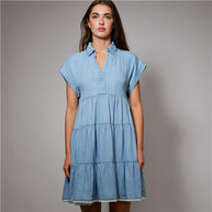 The Homerun Denim Dress