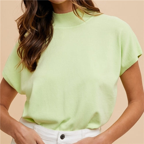 Classical Knit Top