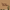 files/Curvy_1.png